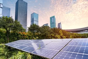 WhatsApp Image 2023 10 03 at 15.28.59