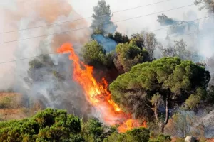 consecuencias de los incendios forestales 234 orig