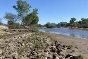 f608x342 183902 213625 142