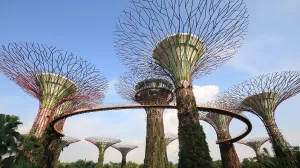 garden gardenbythebay supertree singapore 0
