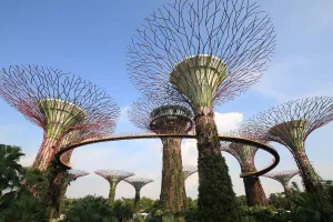 garden gardenbythebay supertree singapore 0