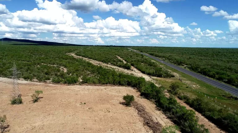Suspensión de desmonte ilegal en Sierra Picachos: acción inmediata de la Secretaría de Medio Ambiente de Nuevo León 11 medio ambiente de nuevo leon suspende desmonte irregular en sierra picachos 768x432 1 jpg