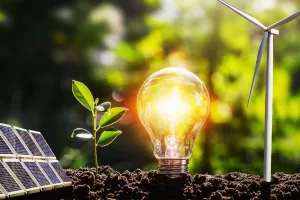 México, un país privilegiado para las energías renovables   11 top energy una alternativa en energias verdes