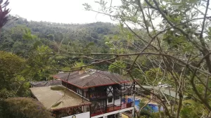 355876388 672113038266820 3389107955333705254 n