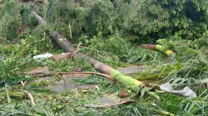 396834818 1965164473855470 3615865035925143371 n