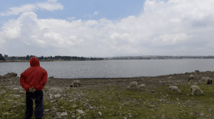 Captura de pantalla 2023 11 23 a las 7.34.21 a.m