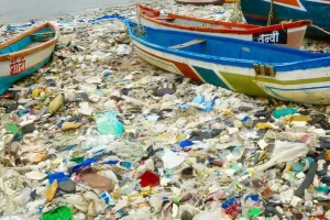 image1170x530cropped