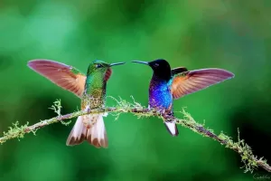 371756439 122116030370012131 5422853381632467144 n