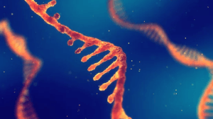 500bf3 10fb83a535ed4d468cc4faab2ff7c8a6mv2