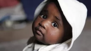 b252127c 9ee0 4b14 8e1c 1b26d26edc2f 900 600 0.jpg