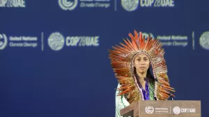 image1170x530cropped