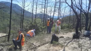 391668409 10163288212254972 1560923908077812258 n