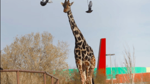 Captura de Pantalla 2024 01 21 a las 20.16.27