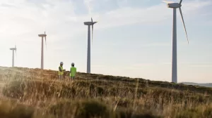 campos parques eolicos 23 2149154417