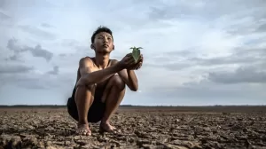 hombres sientan sus manos sosteniendo plantulas tierra seca mirando al cielo 1150 16326