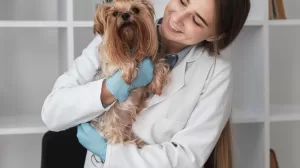 veterinario que controla salud cachorro