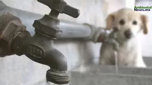 ANWEB ¡Huixquilucan al borde de la sequia El Grito silencioso de nuestros recursos hidricos