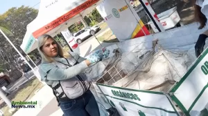 ANWEB La Industria del reciclaje avanza firme beneficiando al medio ambiente