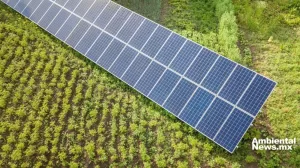 ANWEB Retoman productores de Cuauhtemoc Chihuahua proyecto de uso de energias limpias