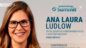 ANWEB Sonora Energy Summit Un plan de energias renovables para el futuro del Estado