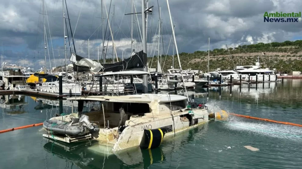 Alerta por Cementerio de Yates en BCS: Riesgo para Fauna y Flora Marina