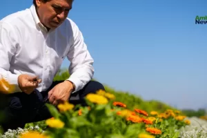 Bee Project: PepsiCo cultiva esperanza para las abejas y la biodiversidad