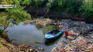 ANWEB El ecocidio sera juzgado mediante el Derecho penal en la Union Europea