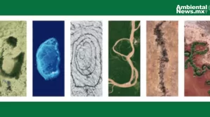 ANWEB Google celebra el Dia de la Tierra 2024 con un doodle interactivo