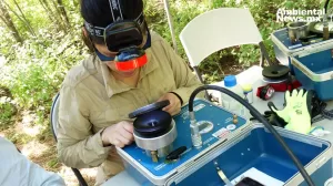 ANWEB Investigadores en Sonora miden el potencial hidrico de las plantas para combatir el cambio climatico