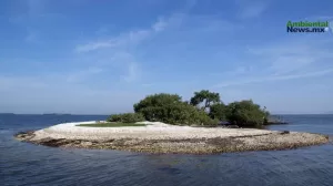 ANWEB La UAS investiga la de flora y fauna en el archipielago de la bahia Santa Maria