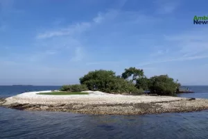 ANWEB La UAS investiga la de flora y fauna en el archipielago de la bahia Santa Maria