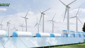 ANWEB Sinaloa avanza hacia la industrializacion con la llegada de DH2 Energy