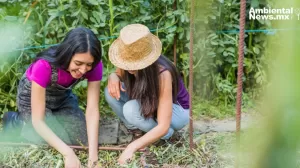 ANWEB Transformacion agroalimentaria y sostenibilidad Prioridad de la FAO