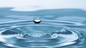 Gilberto Herrera denuncia aprobacion de Ley en Queretaro que permite el