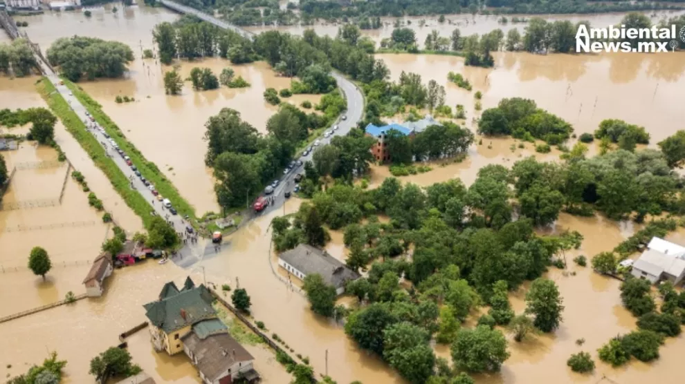 Grandes perturbaciones históricas y la resiliencia humana