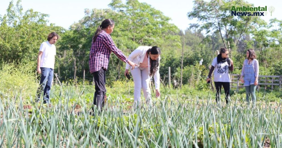 Protegiendo a los defensores del medio ambiente en México