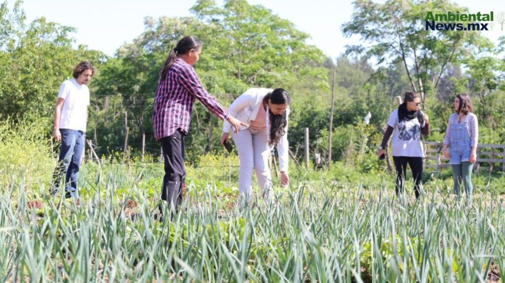 Protegiendo a los defensores del medio ambiente en México