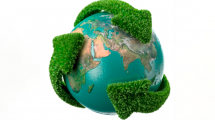 ¿Por qué se celebra el 5 de junio el día mundial del medio ambiente?
