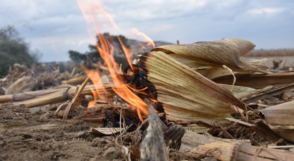 El costo oculto de la quema de rastrojos para los agricultores y la naturaleza