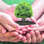 Día Mundial del Árbol: 7 razones por las que los árboles son esenciales en la ciudad