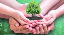 Día Mundial del Árbol: 7 razones por las que los árboles son esenciales en la ciudad