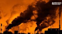 Créditos de carbono: un arma de doble filo en la lucha contra el cambio climático