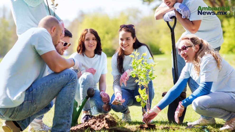 La Generación Z necesita urgentemente habilidades verdes, según informe