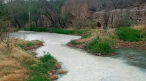 Aguas negras contaminan El Conejal: un ecocidio en Aguascalientes