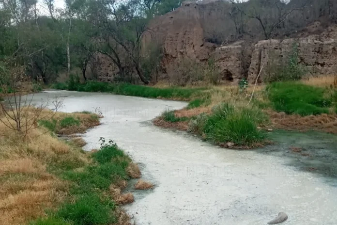 Aguas negras contaminan El Conejal: un ecocidio en Aguascalientes