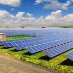 Granjas solares en regiones áridas: una estrategia ganadora para revertir el cambio climático