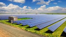 Granjas solares en regiones áridas: una estrategia ganadora para revertir el cambio climático