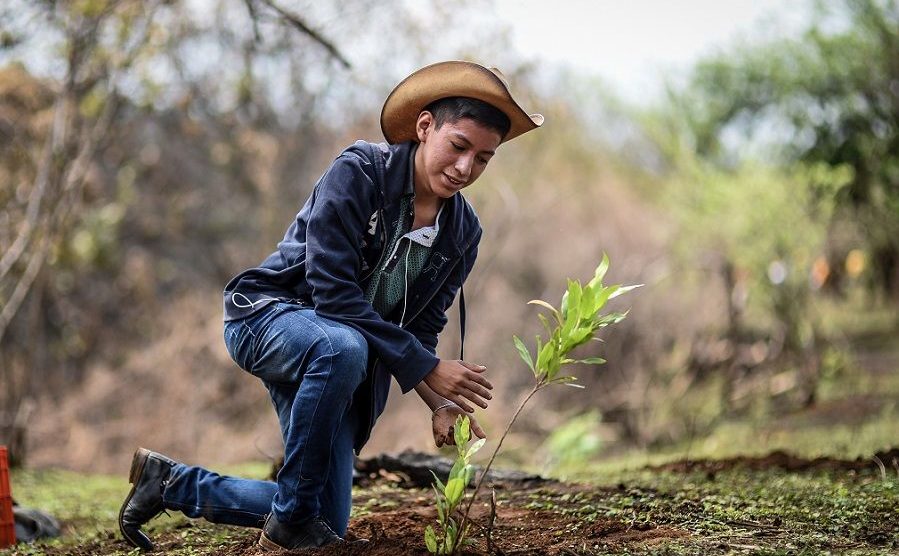 Jiutepec se une por el medio ambiente: exitosa jornada de reforestación