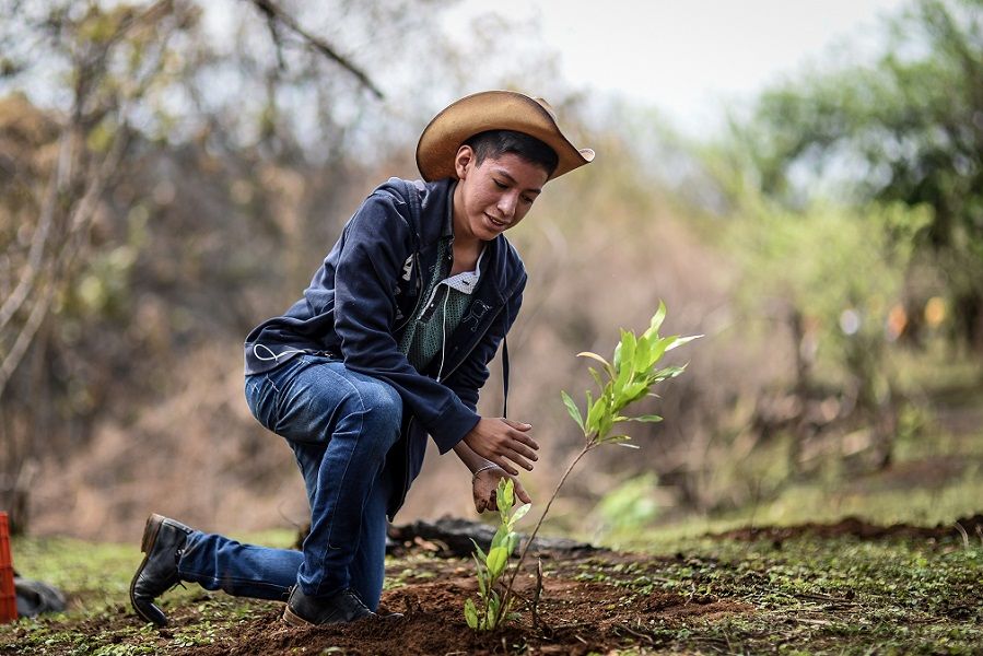 Jiutepec se une por el medio ambiente: exitosa jornada de reforestación