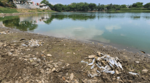 La PMA está restaurando los cuerpos de agua en Veracruz